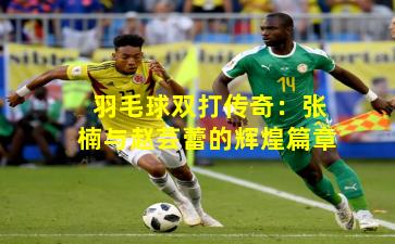 羽毛球双打传奇：张楠与赵芸蕾的辉煌篇章