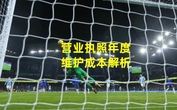 营业执照年度维护成本解析