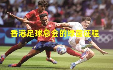 香港足球总会的绿茵征程