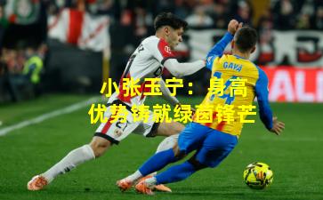 小张玉宁：身高优势铸就绿茵锋芒