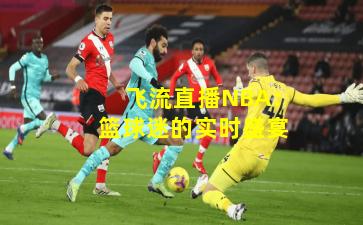 飞流直播NBA：篮球迷的实时盛宴