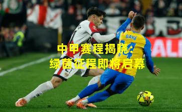 中甲赛程揭晓：绿茵征程即将启幕