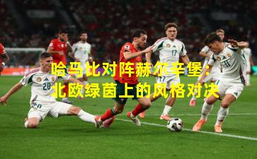 哈马比对阵赫尔辛堡：北欧绿茵上的风格对决